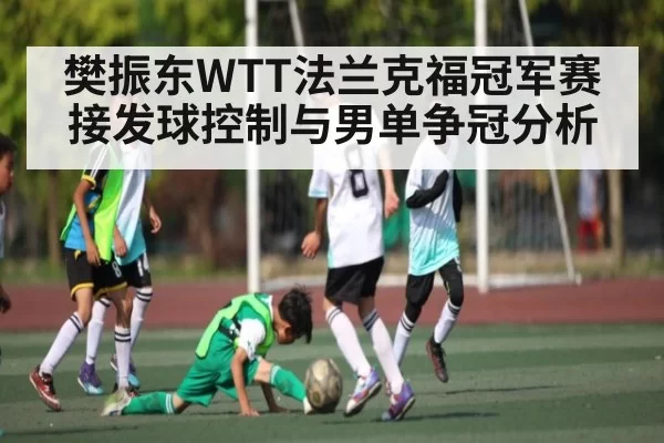 樊振东WTT法兰克福冠军赛接发球控制与男单争冠分析 | Starsky